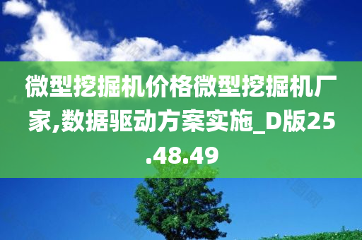 微型挖掘机价格微型挖掘机厂家,数据驱动方案实施_D版25.48.49