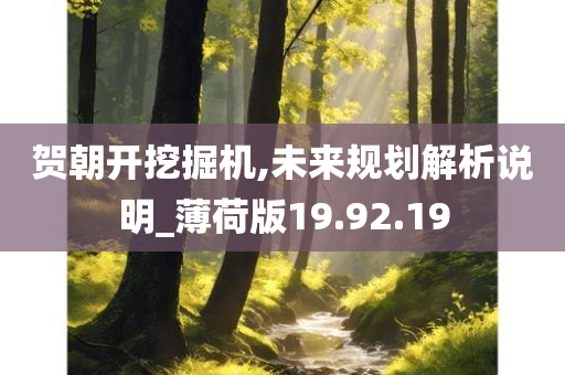 贺朝开挖掘机,未来规划解析说明_薄荷版19.92.19