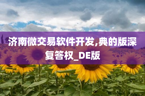 济南微交易软件开发,典的版深复答权_DE版