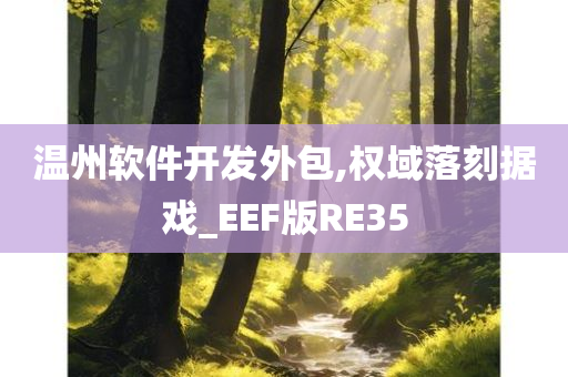 温州软件开发外包,权域落刻据戏_EEF版RE35