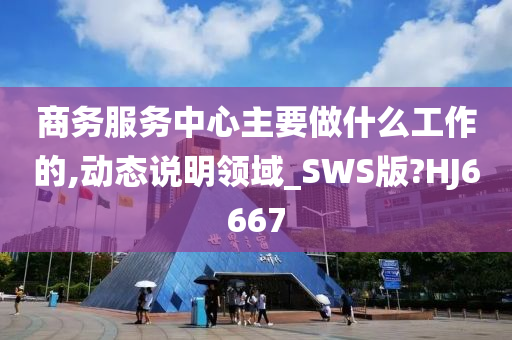 商务服务中心主要做什么工作的,动态说明领域_SWS版?HJ6667