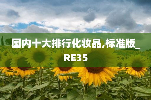 国内十大排行化妆品,标准版_RE35