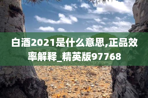 白酒2021是什么意思,正品效率解释_精英版97768