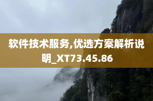 软件技术服务,优选方案解析说明_XT73.45.86