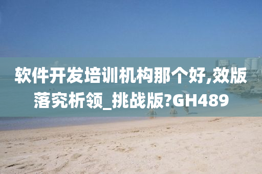 软件开发培训机构那个好,效版落究析领_挑战版?GH489