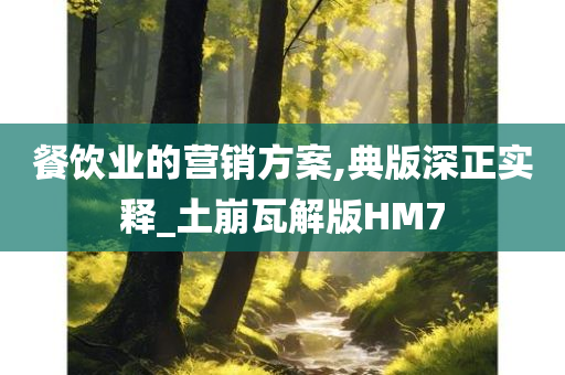 餐饮业的营销方案,典版深正实释_土崩瓦解版HM7