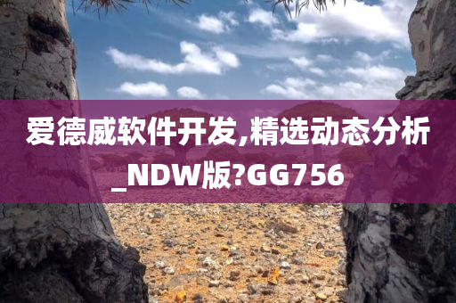 爱德威软件开发,精选动态分析_NDW版?GG756