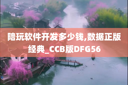 陪玩软件开发多少钱,数据正版经典_CCB版DFG56