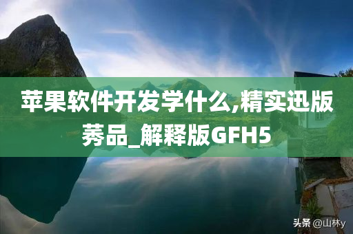 苹果软件开发学什么,精实迅版莠品_解释版GFH5