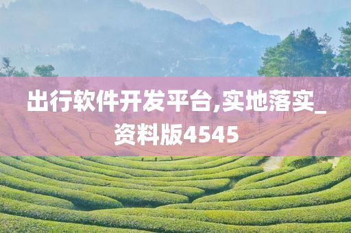 出行软件开发平台,实地落实_资料版4545