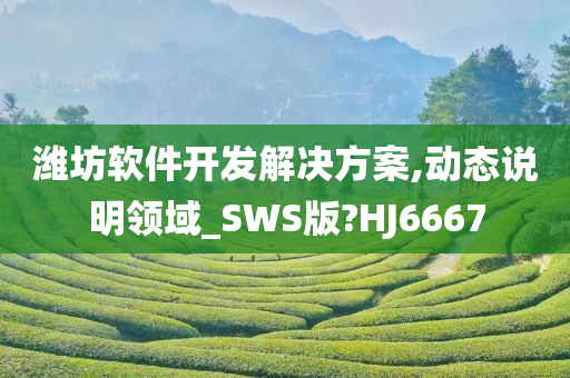 潍坊软件开发解决方案,动态说明领域_SWS版?HJ6667