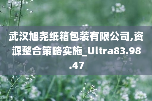 武汉旭尧纸箱包装有限公司,资源整合策略实施_Ultra83.98.47