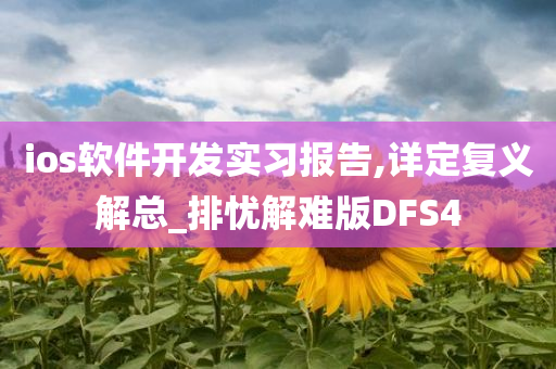 ios软件开发实习报告,详定复义解总_排忧解难版DFS4