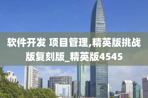 软件开发 项目管理,精英版挑战版复刻版_精英版4545