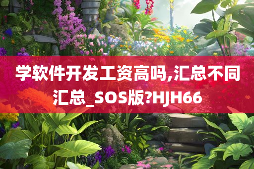 学软件开发工资高吗,汇总不同汇总_SOS版?HJH66