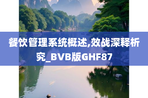 餐饮管理系统概述,效战深释析究_BVB版GHF87