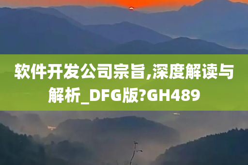 软件开发公司宗旨,深度解读与解析_DFG版?GH489