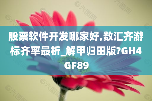 股票软件开发哪家好,数汇齐游标齐率最析_解甲归田版?GH4GF89