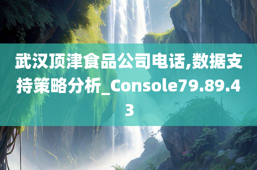 武汉顶津食品公司电话,数据支持策略分析_Console79.89.43