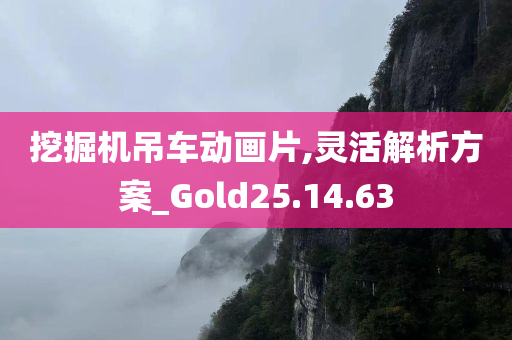 挖掘机吊车动画片,灵活解析方案_Gold25.14.63