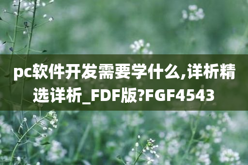 pc软件开发需要学什么,详析精选详析_FDF版?FGF4543