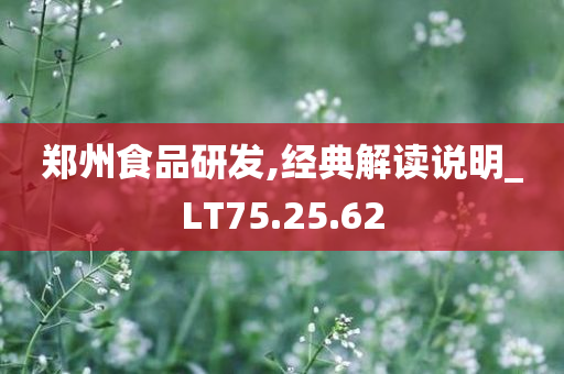 郑州食品研发,经典解读说明_LT75.25.62