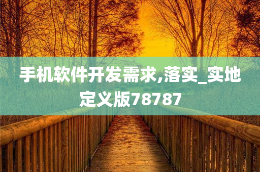 手机软件开发需求,落实_实地定义版78787