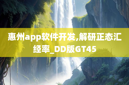 惠州app软件开发,解研正态汇经率_DD版GT45