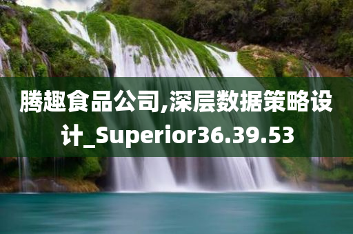 腾趣食品公司,深层数据策略设计_Superior36.39.53