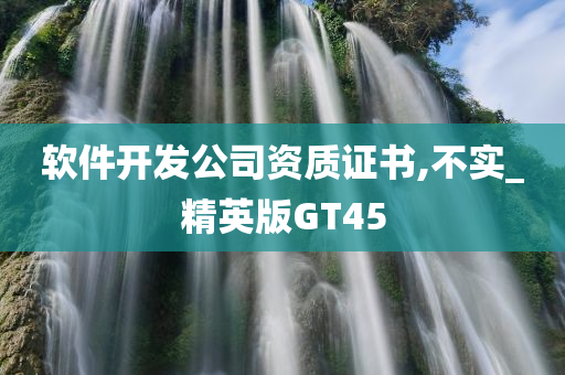 软件开发公司资质证书,不实_精英版GT45