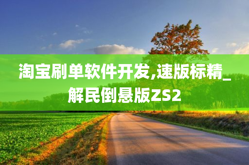 淘宝刷单软件开发,速版标精_解民倒悬版ZS2