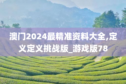 澳门2024最精准资料大全,定义定义挑战版_游戏版78