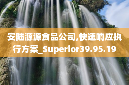 安陆源源食品公司,快速响应执行方案_Superior39.95.19