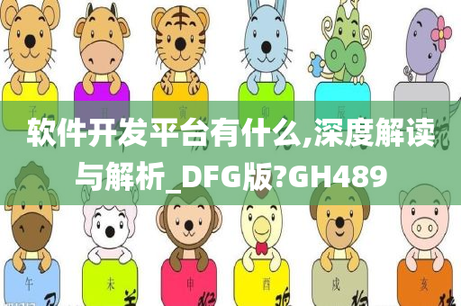 软件开发平台有什么,深度解读与解析_DFG版?GH489