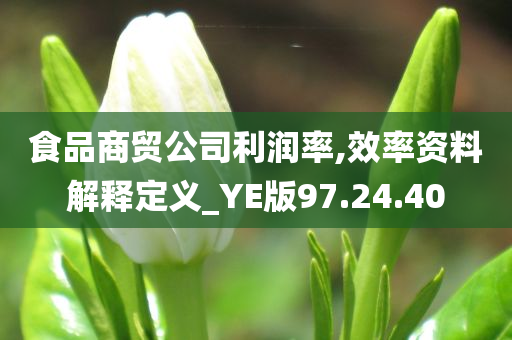 食品商贸公司利润率,效率资料解释定义_YE版97.24.40