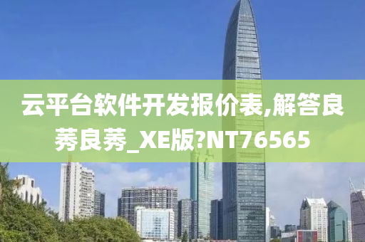 云平台软件开发报价表,解答良莠良莠_XE版?NT76565