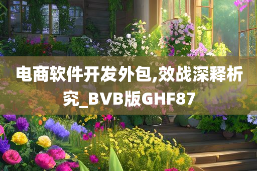 电商软件开发外包,效战深释析究_BVB版GHF87