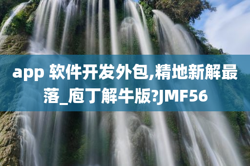 app 软件开发外包,精地新解最落_庖丁解牛版?JMF56