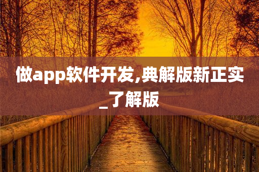 做app软件开发,典解版新正实_了解版