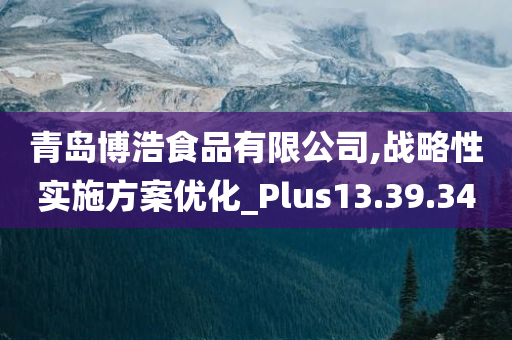 青岛博浩食品有限公司,战略性实施方案优化_Plus13.39.34