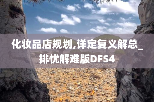 化妆品店规划,详定复义解总_排忧解难版DFS4