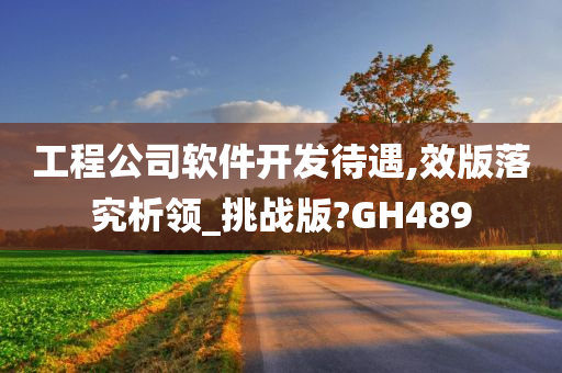 工程公司软件开发待遇,效版落究析领_挑战版?GH489