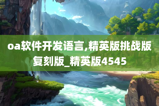 oa软件开发语言,精英版挑战版复刻版_精英版4545