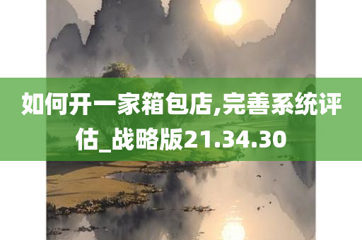 如何开一家箱包店,完善系统评估_战略版21.34.30