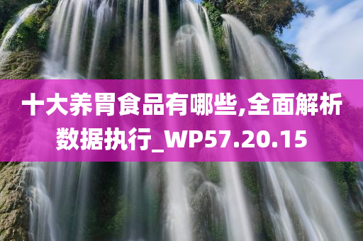 十大养胃食品有哪些,全面解析数据执行_WP57.20.15