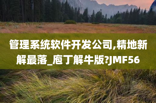 管理系统软件开发公司,精地新解最落_庖丁解牛版?JMF56