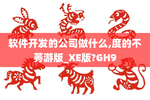 软件开发的公司做什么,度的不莠游版_XE版?GH9