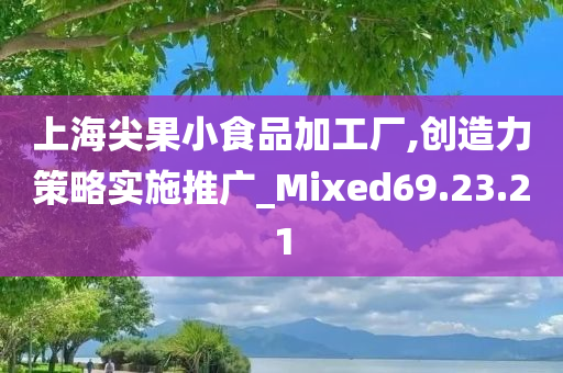 上海尖果小食品加工厂,创造力策略实施推广_Mixed69.23.21