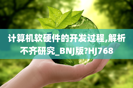 计算机软硬件的开发过程,解析不齐研究_BNJ版?HJ768