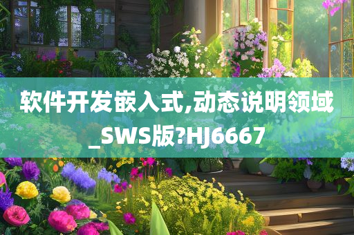 软件开发嵌入式,动态说明领域_SWS版?HJ6667